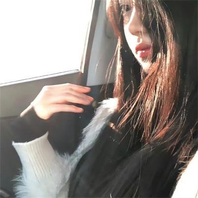 我的狗是杀手